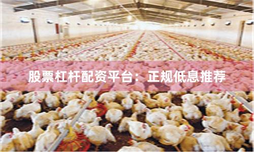 股票杠杆配资平台：正规低息推荐